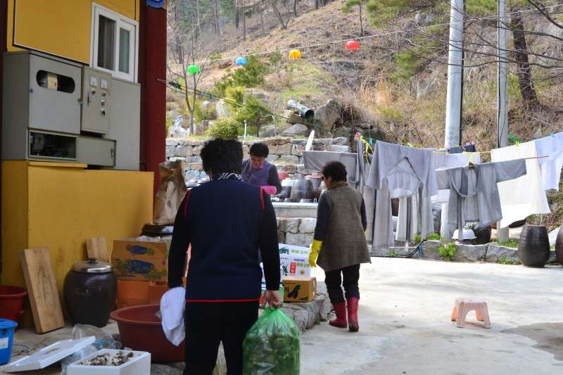 동식물천도제 018