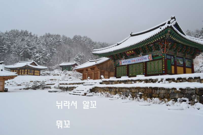 자료 12